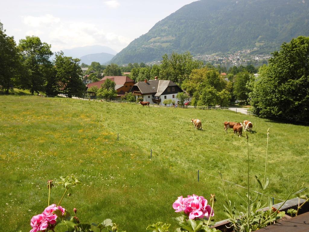 Seeblick-Appartements Ossiach Pokój zdjęcie