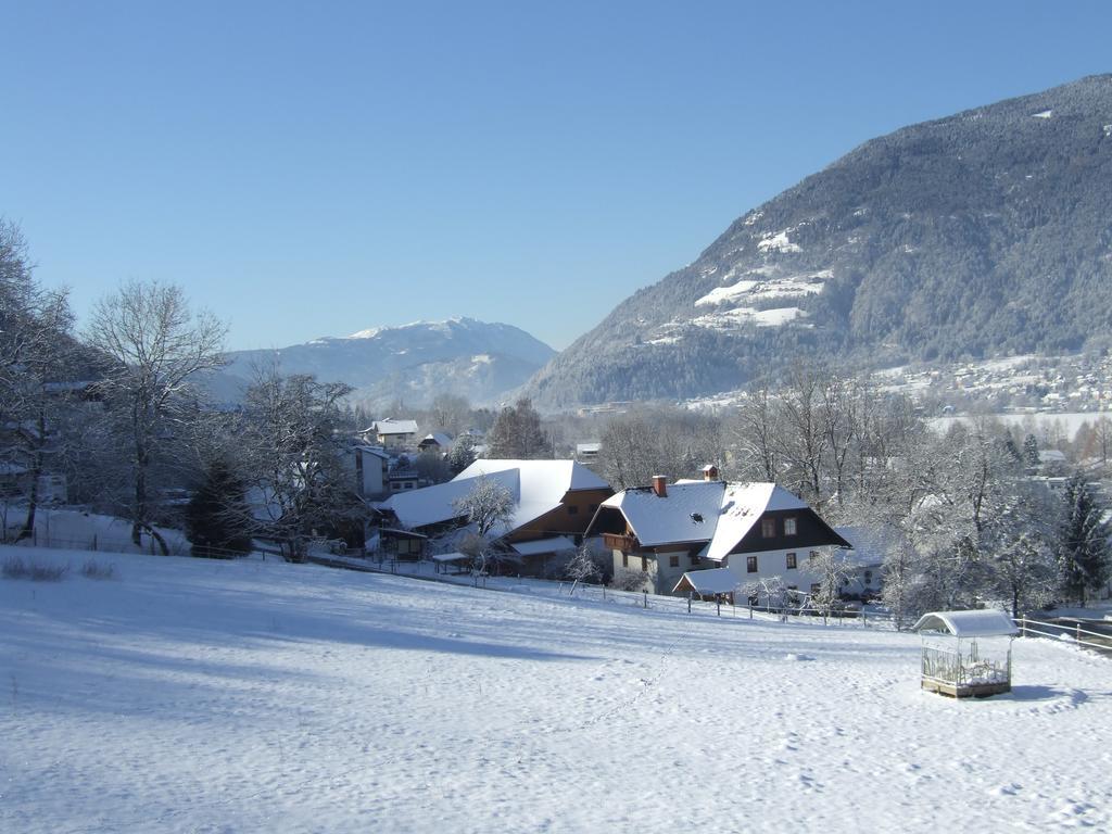 Seeblick-Appartements Ossiach Zewnętrze zdjęcie